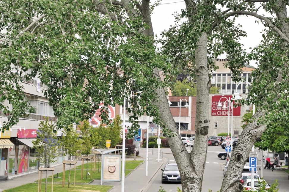 Photo du quartier Chênée